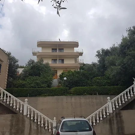 Telo Shehu Holiday Radhimë